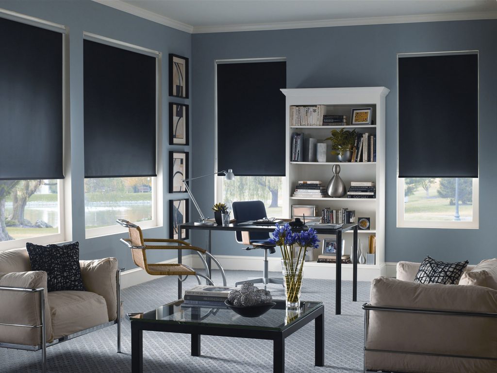 Shadeomatic 10 Skyview Blinds & Shades blackout roller shades