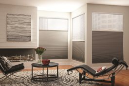 buy cellular blinds in Calgary by Skyview shades