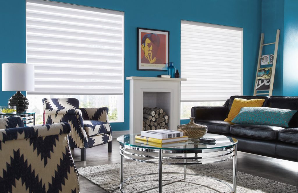 Concept Dual Shadings 7 Skyview Blinds & Shades