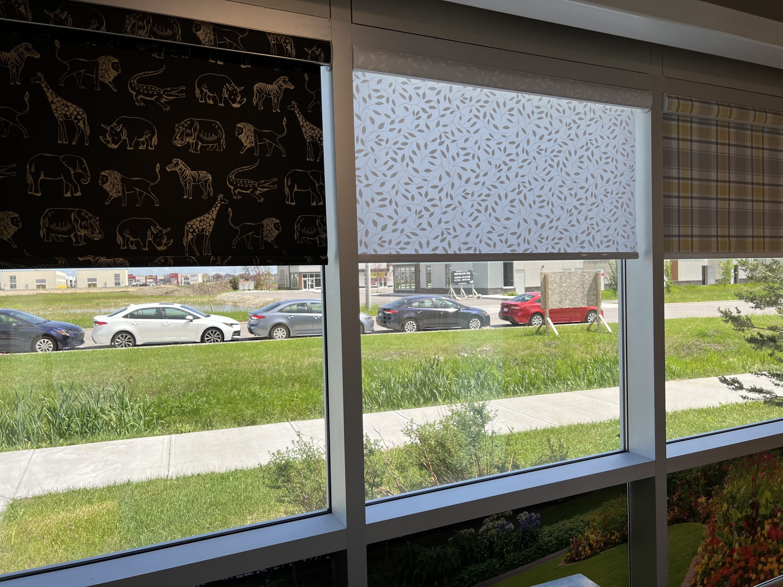 Matching your Window Solutions to Natural Sceneries in Calgary