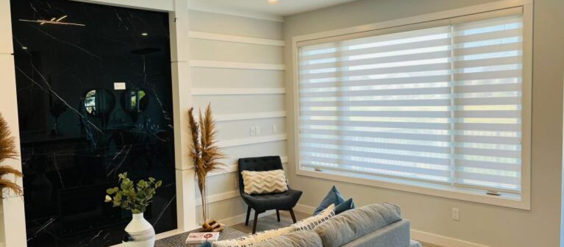 zebra blinds in Calgary for Black Friday deals